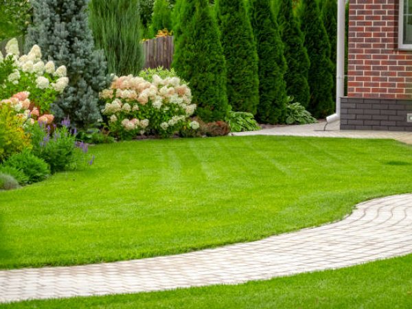 Garden Design